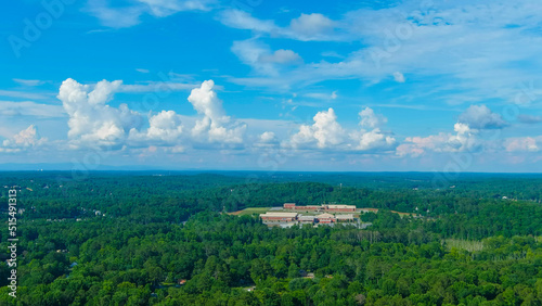 Фотография a stunning aerial shot of the vast miles of lush green trees with buildings nest
