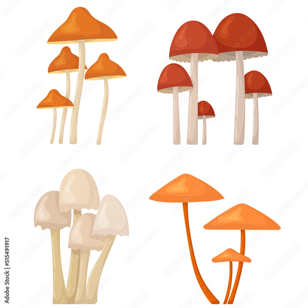 mushrooms in flat style, set isolated