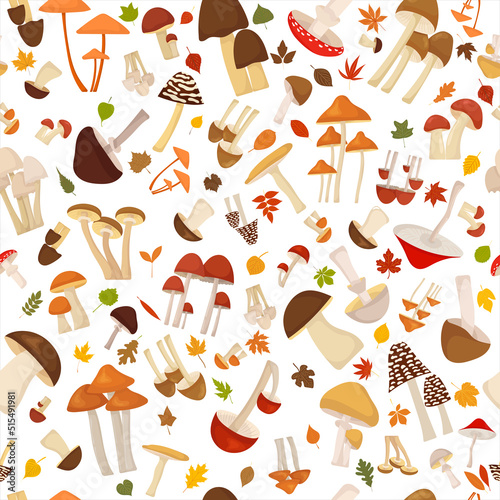 mushroom leaves, autumn seamless white background, vector