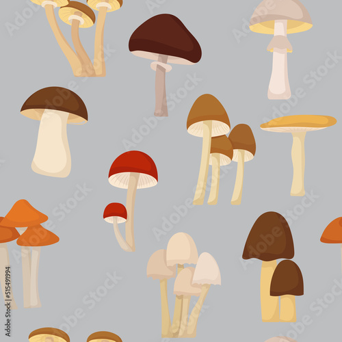 mushrooms, autumn seamless white background, vector