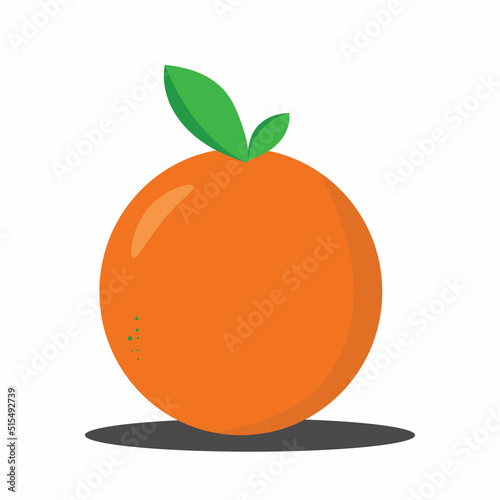 orange isolated on white vector illustration 