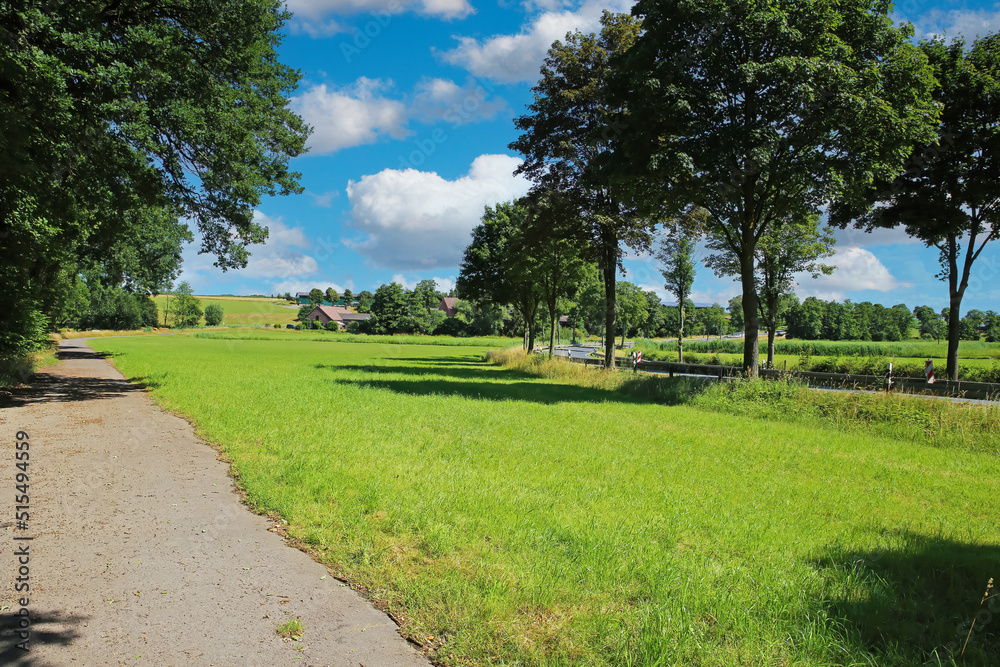 Beautiful rural lower rhine (Niederrhein) summer landscape, green forest, agricultural fields, blue sky fluffy clouds, bike cycling path - Hinsbeck, Nettetal, Germany