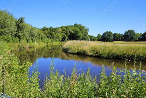 Beautiful scenic idyllic typical lower rhine (Niederrhein) green rural landscape, river Niers, forest, blue summer sky - Wachtendonk, Germany