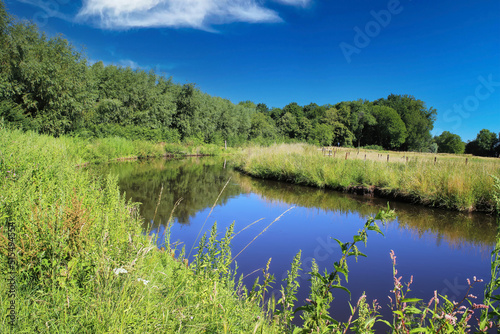 Beautiful scenic idyllic typical lower rhine (Niederrhein) green rural landscape, river Niers, forest, blue summer sky - Wachtendonk, Germany