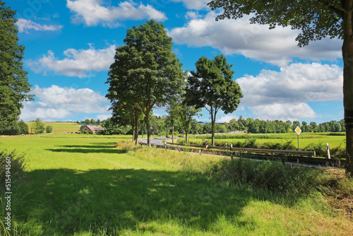 Beautiful rural lower rhine (Niederrhein) green landscape, empty country road, blue summer sky fluffy clouds - Hinsbeck, Nettetal, Germany