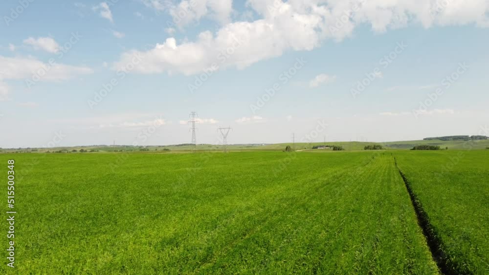 Tracking shot over hay fields and fertilizer sprayer tracks on a windy day with distant steel transmission towers on the Canadian prairies. Tracking shot over hay fields and fertilizer sprayer tracks on a windy day with distant steel transmission towers on the Canadian prairies.