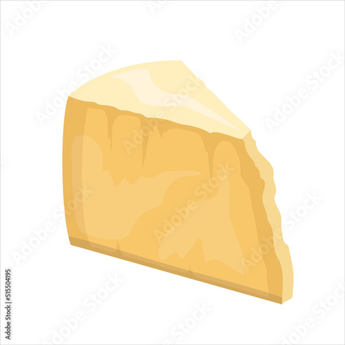 Hard cheese parmesan or pecorino, vector illustration isolated on white background