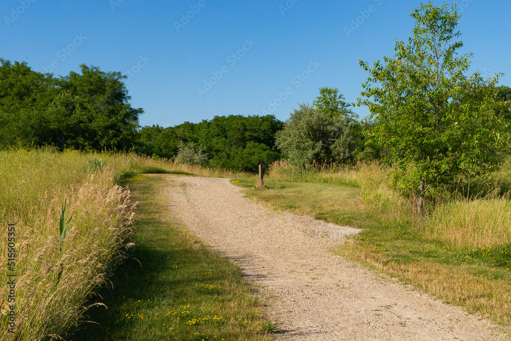 Trail through the park