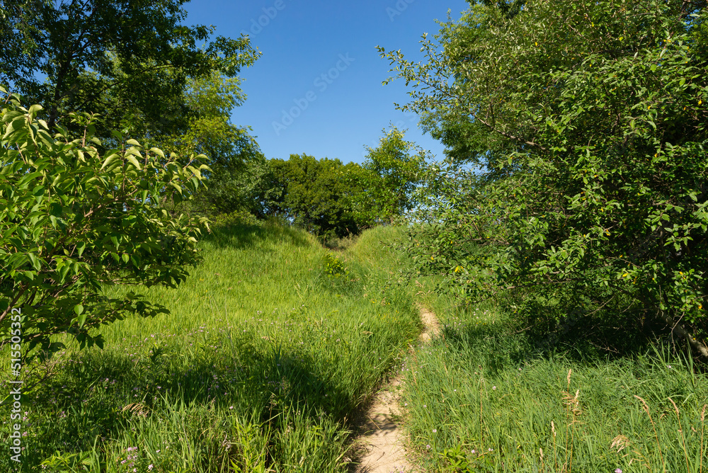 Trail through the park