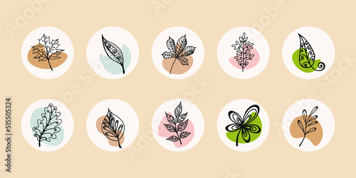 Social media icons - botanicals leaves, wildflowers, highlight Covers, floral design Icons, vector Illustration. Autumn icons in doodle style.