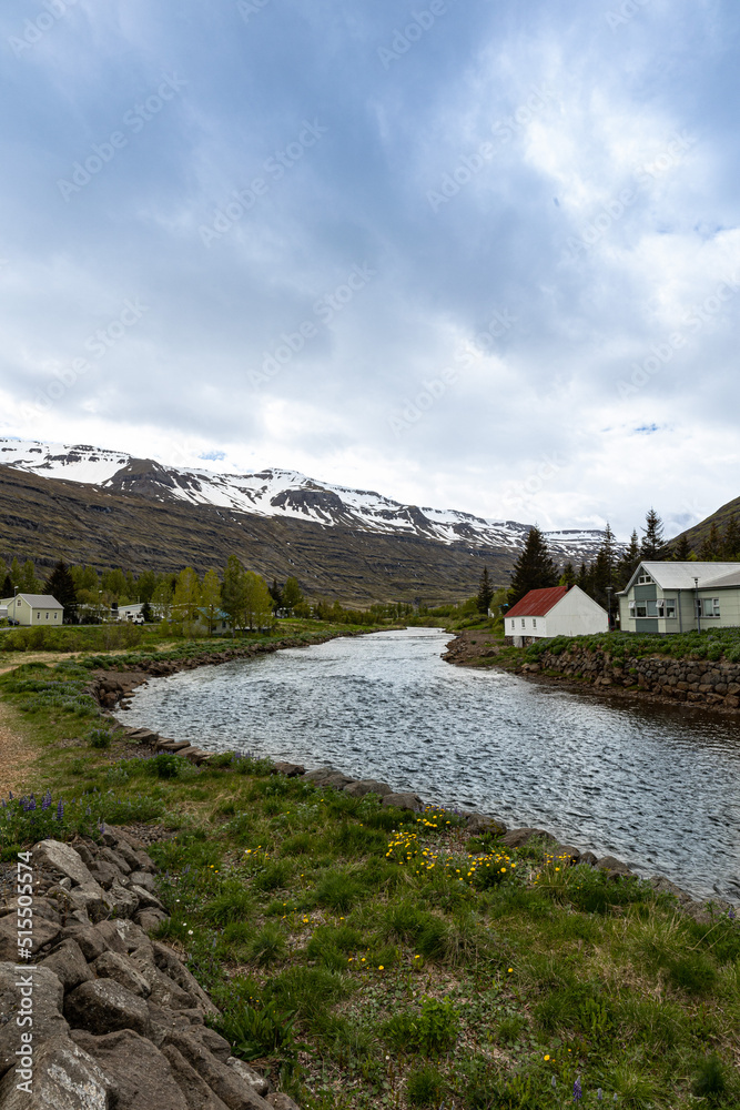 A river flowing between houses of the Icelandic village of Seydisfjordur. Snow covered mountain range on the horizon.