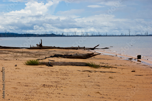 beach at the Balbina hydroelectric lagoon and the cemetery of trees