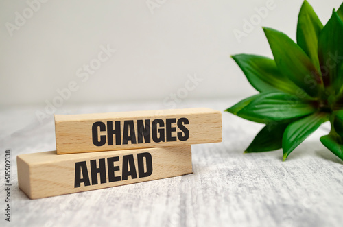 CHANGES AHEAD text on a wooden block with green plant