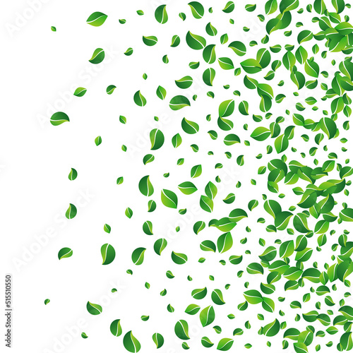Mint Leaf Motion Vector White Background.