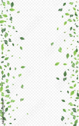 Mint Foliage Wind Vector Transparent Background