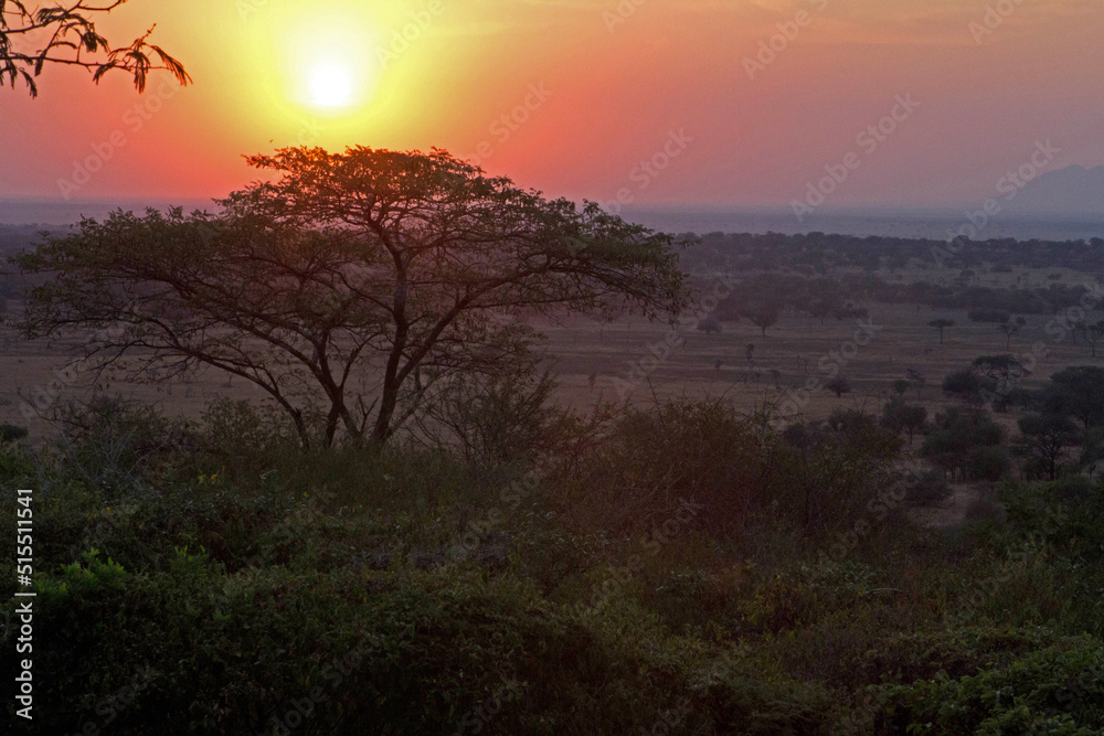 Sunset on Serengetti Tanzania