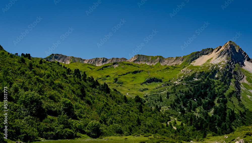 Fototapeta premium landscape with mountains