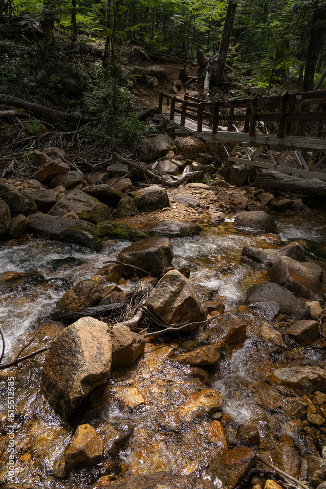 Hiking in the woods. View of the wooden bridge over the fresh water stream with a rocky river bed flowing across the forest. Hiking in the woods. View of the wooden bridge over the fresh water stream with a rocky river bed flowing across the forest.