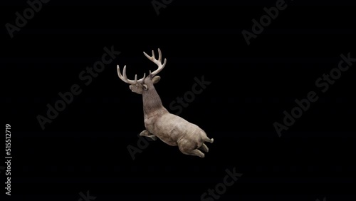 Brown Stag Sit View From Top Angle Back.Animation.Full HD 1920×1080. 02 Second Long.Transparent Alpha Video. LOOP.

 photo