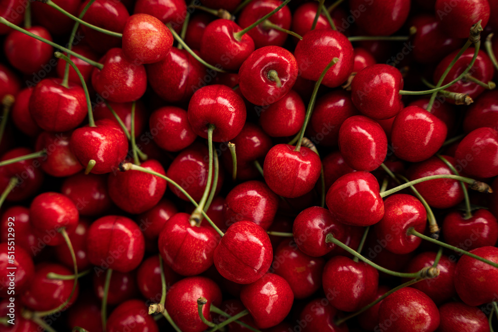 Cherry, bunch of red cherries, fresh juicy fruit, full composition, top view Cherry, bunch of red cherries, fresh juicy fruit, full composition, top view