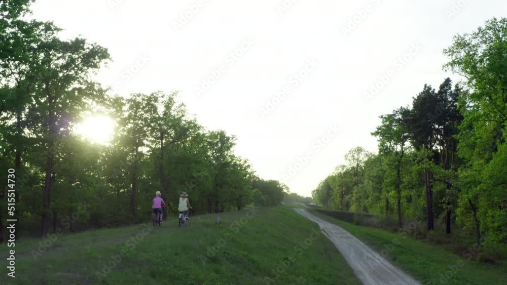 Two happy girlfriends riding bicycles in nature at sunset. Girls go on the road for a walk in the park on bicycles, active recreation together. Aerial view sports and recreation. Two happy girlfriends riding bicycles in nature at sunset. Girls go on the road for a walk in the park on bicycles, active recreation together. Aerial view sports and recreation.