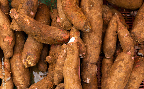 Manihot esculenta in the traditional Colombian market