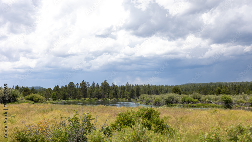 Obraz premium Beautiful Landscape in Sunriver Oregon, Summer Season 2022