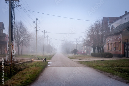 Selective blur on an empty road and street in the village of Vladimirovac in Vojvodina, Banat, Serbia, in the countryside, with a smog and fog during a cold freezing afternoon of winter. .. photo