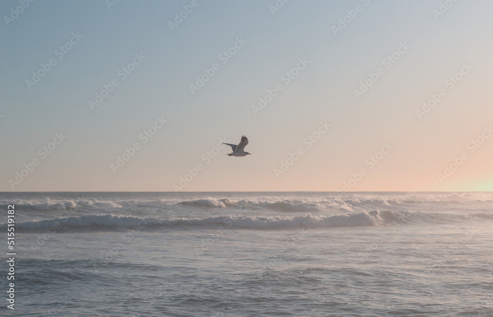 Fototapeta premium El agua más azul, la arena más blanca, los árboles más verdes. Las gaviotas son divertidas de ver. Nuestras fotos de la playa son el complemento perfecto para la decoración de su hogar u oficina: trai