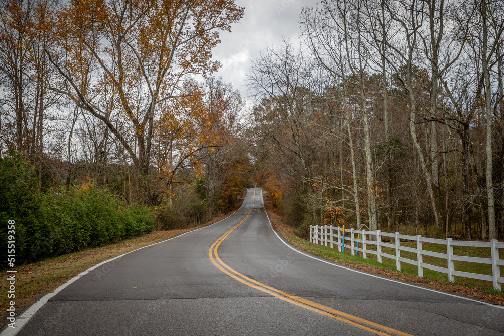 Fototapeta premium Country Road Tree Tunnel