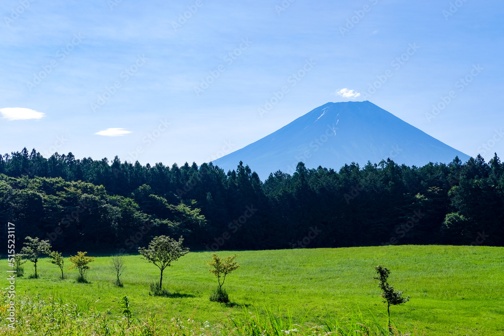 Fototapeta premium 静岡県富士宮市朝霧高原からの富士山