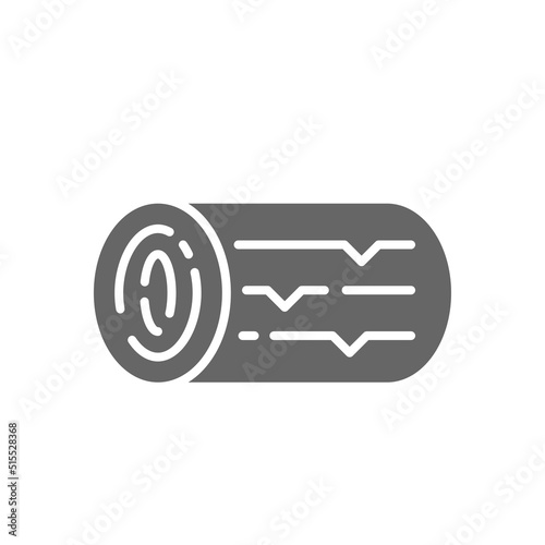Wood log icon. Line, glyph and filled outline colorful version, Logs of tree outline and filled vector sign. Symbol, logo illustration. Different style icons set. Vector graphics