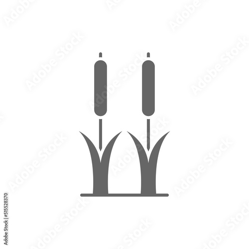 Reeds plant glyph icon. linear style sign for mobile concept and web design. Cattail simple glyph vector icon. Symbol, logo illustration. Pixel perfect vector graphics