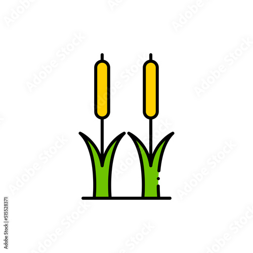 Reeds plant filled color icon. linear style sign for mobile concept and web design. Cattail simple filled color vector icon. Symbol, logo illustration. Pixel perfect vector graphics