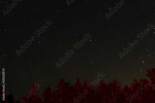 Dark night sky with many stars above field of trees. Space background