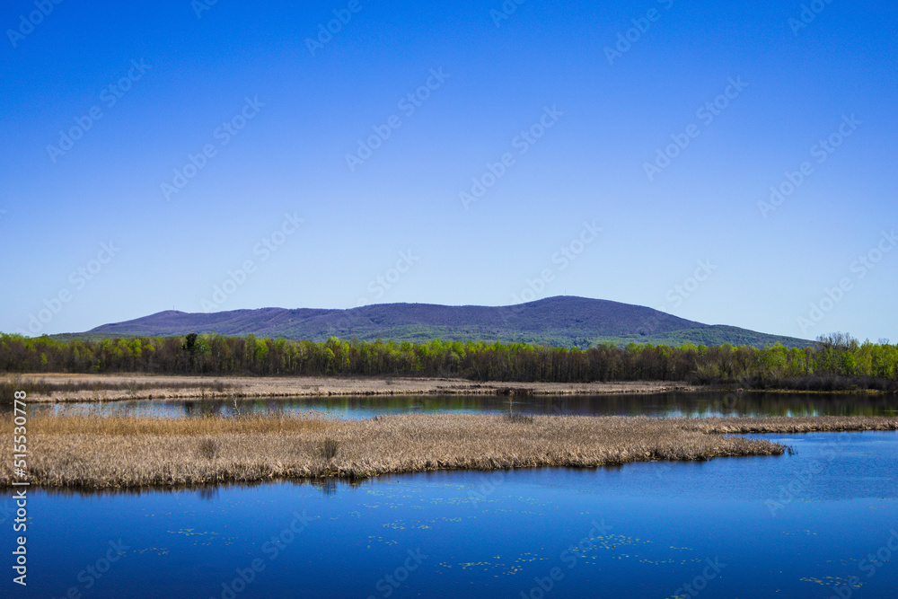 lake and mountains