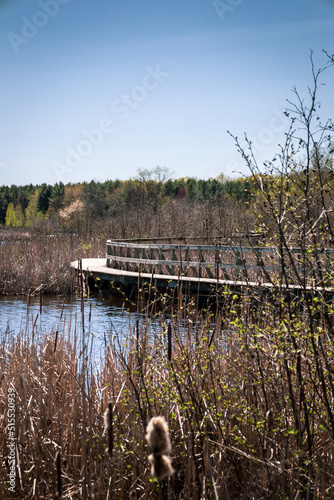 wooden bridge over lakeshore