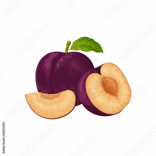 Plum. Ripe purple plum. Fresh sweet plum. Ripe juicy plum berry in the section. Vegetarian organic product. Vector illustration isolated on a white background