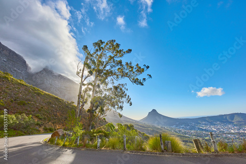 Obraz na plátně Landscape of a scenic road on a mountainside near an uncultivated woodland on Table Mountain, Cape Town