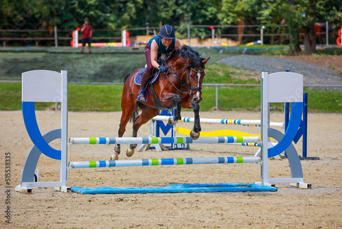 Show jumper with horse jumping over a moat, frontal recording with a full obstacle..
