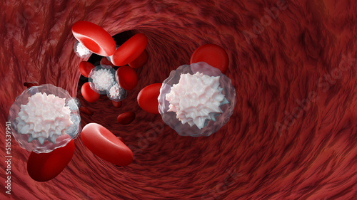 Red and white blood cells inside the artery. Blood cells and lymphocytes in the vein. Microbiology concept, 3D rendering.