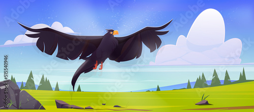 Black eagle, falcon or hawk flying with outspread wings over nature landscape with green valley, rocks and spruces. Picturesque background with wild bird predator in sky, Cartoon vector illustration
