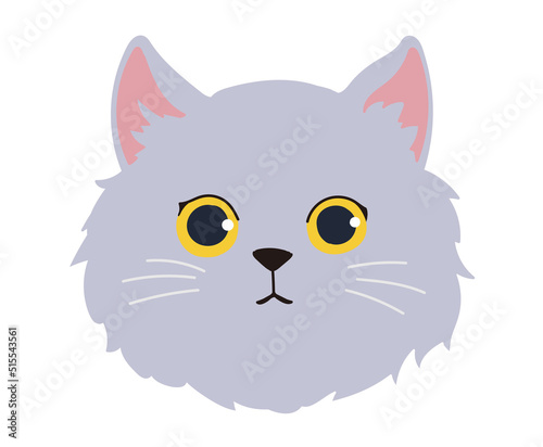 ペルシャ猫　顔