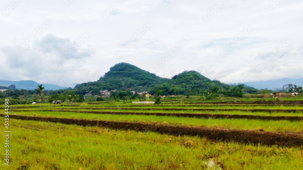 Land of Green Rice Fields, agriculture village with mountain panorama