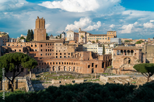 View of the Roman Forum in Rome  Italy