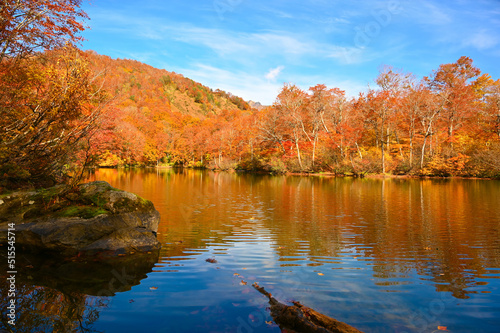 鎌池　湖畔　紅葉　秋　妙高戸隠連山国立公園　池　森林　雨飾高原　ブナの木　長野県小谷村 photo