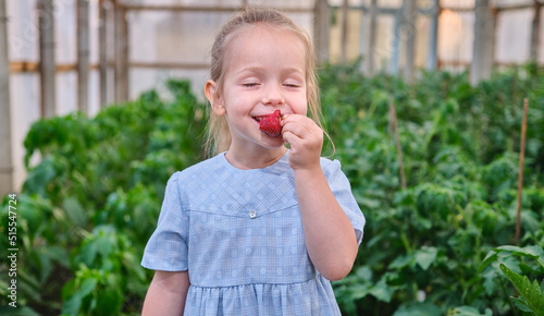 happy child girl eats fresh picked strawberries in the greenhouse closed eyes