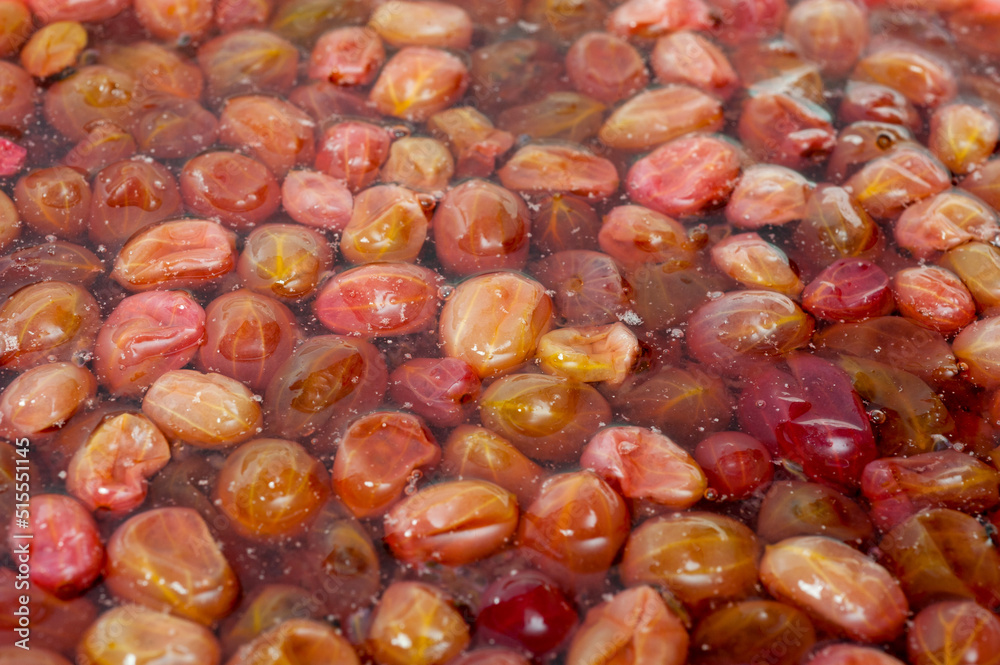 Close-up shot of red ripe gooseberry jam in sweet syrup. Close-up shot of red ripe gooseberry jam in sweet syrup.