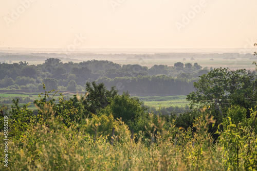 Beautiful natural countryside landscape. Blooming wild high grass nature at sunset warm summer. Pastoral scenery. The hills fog. Morning landscape Moldova Olanesti tree green morning field