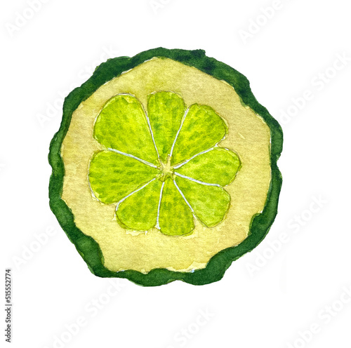 Watercolor illustration of bergamot fruit. Slice of bergamt.